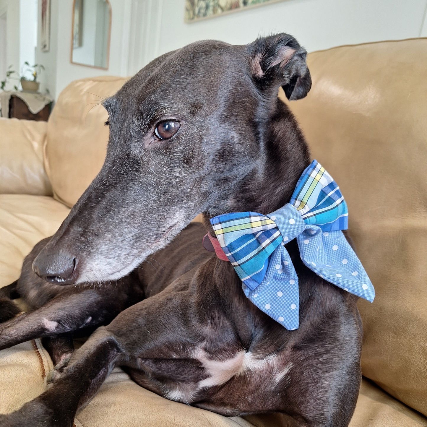 Blue Picnic Sailor Bow