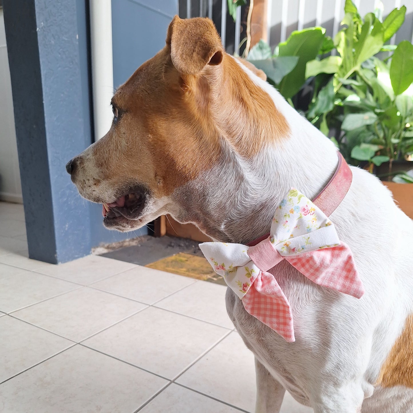 Spring Bow