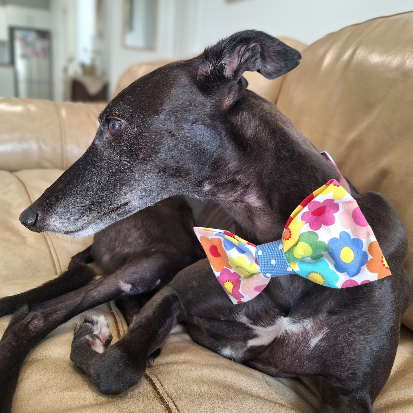 Daisy Pop Bow