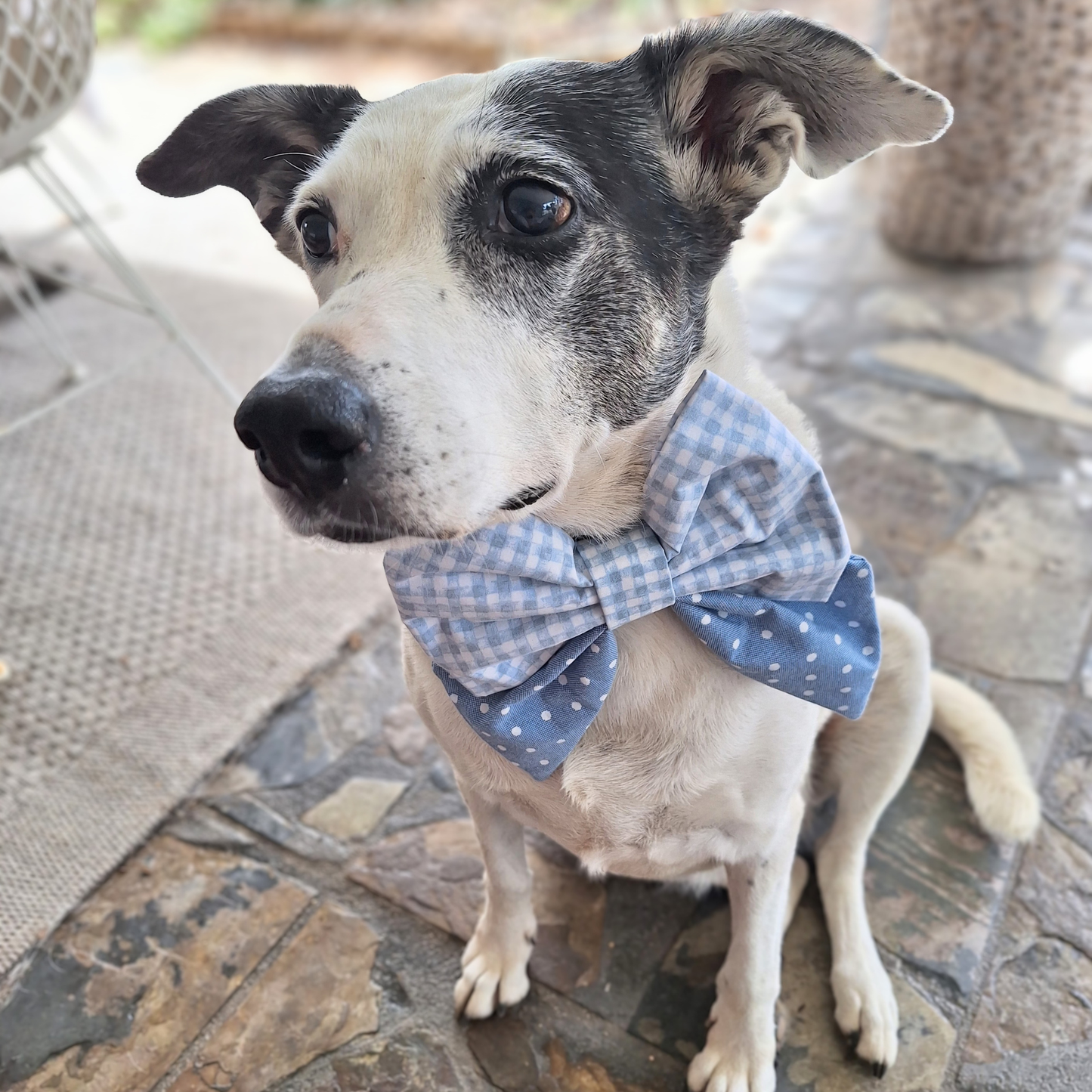 Sky Blue Plaid and Spots Sailor Bow