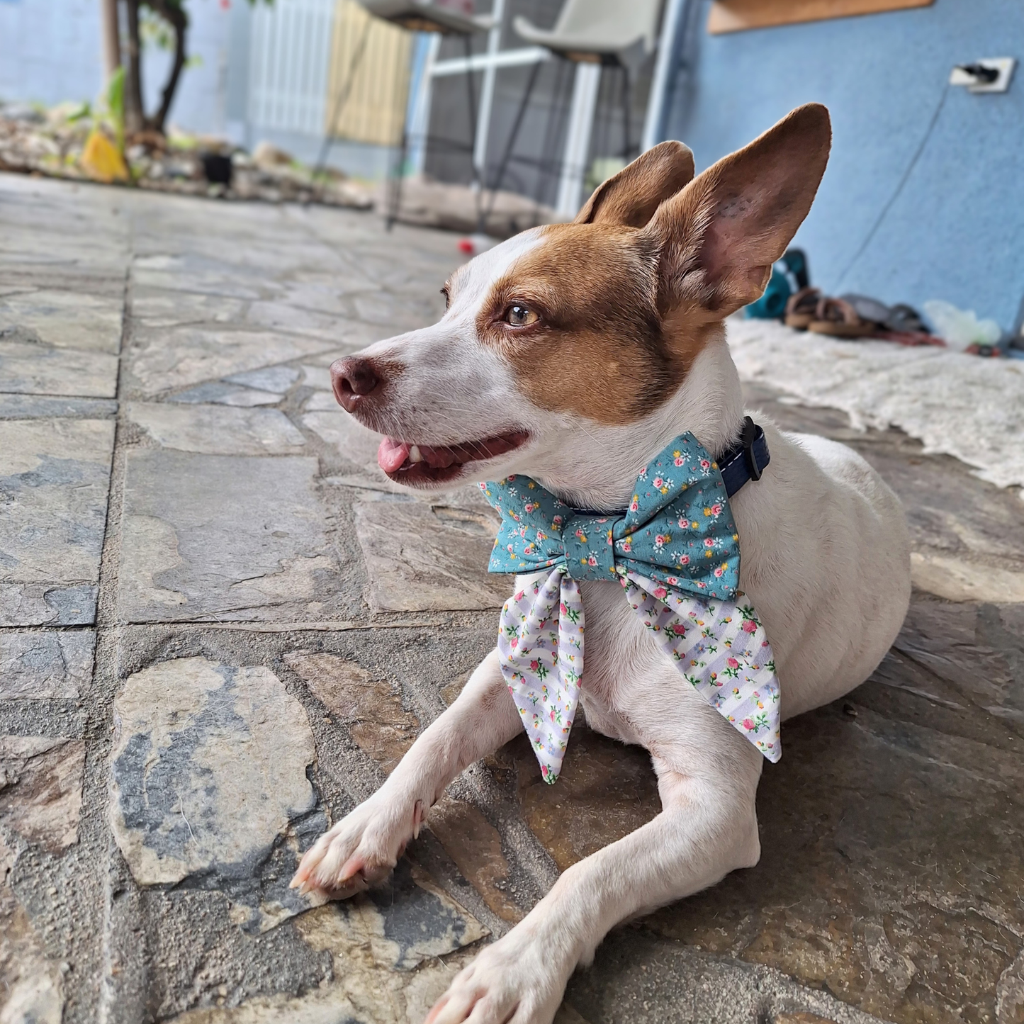 Sage Chintz & Stripe Sailor Bow