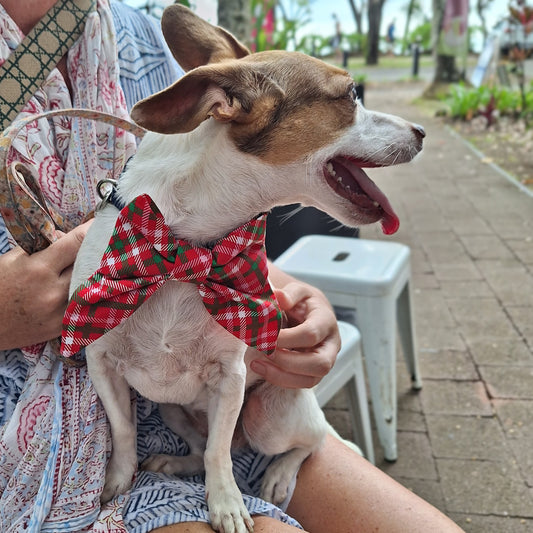 Rudolf Red Plaid Sailor Bow