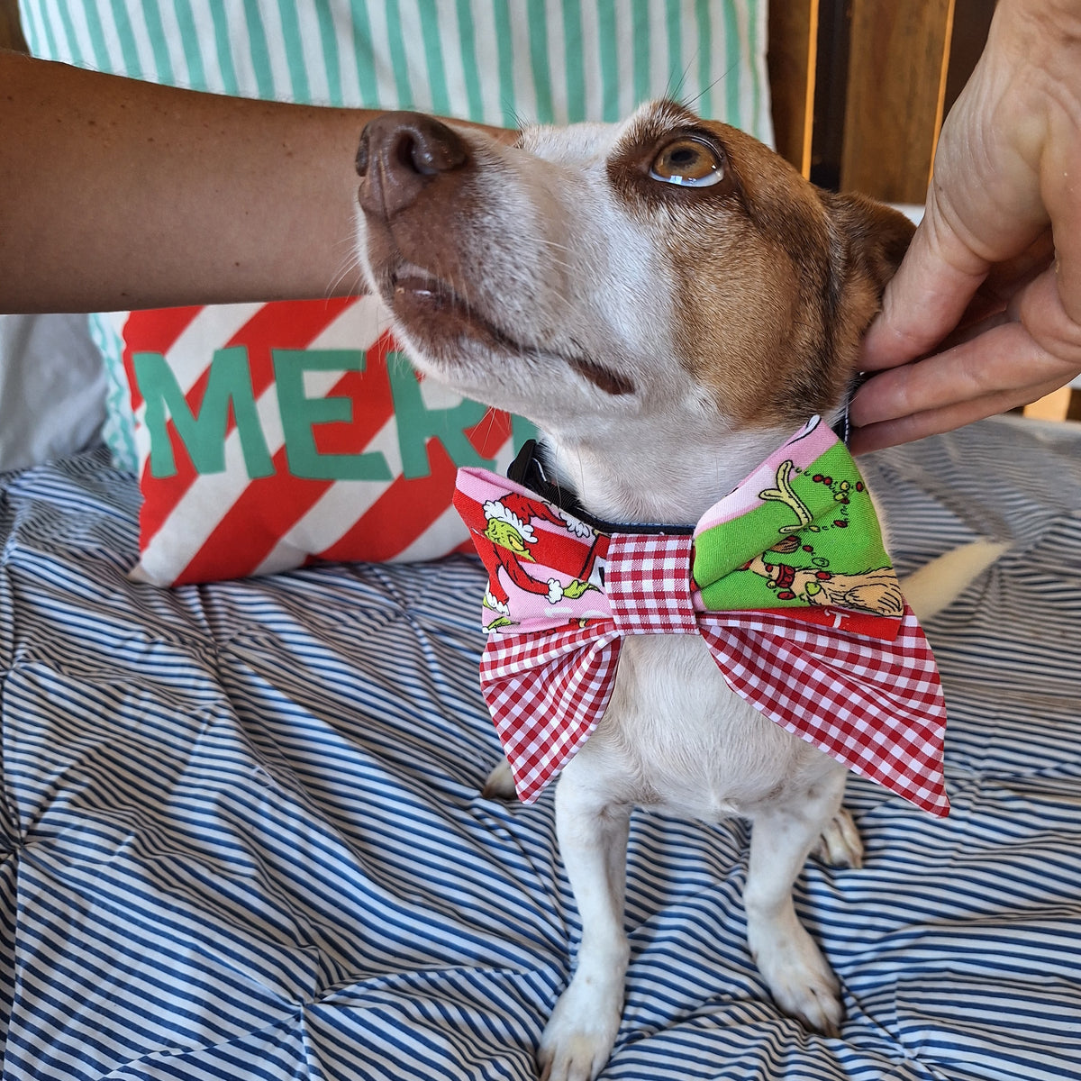 The Present-Snatcher Statement Bow