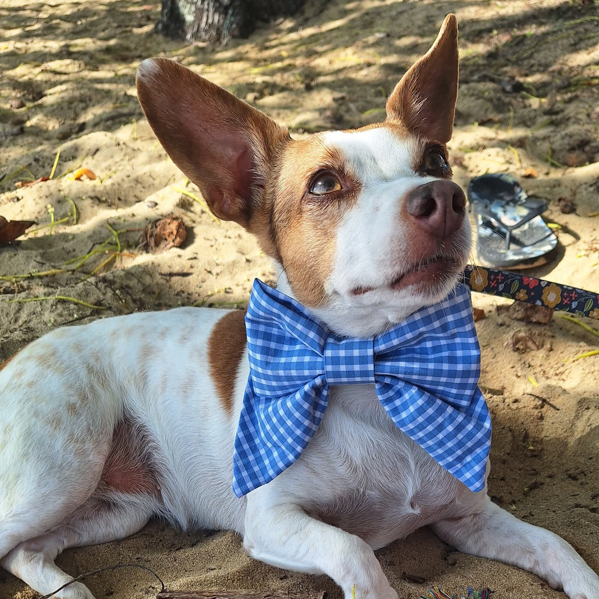 Picnic in the Park Bow