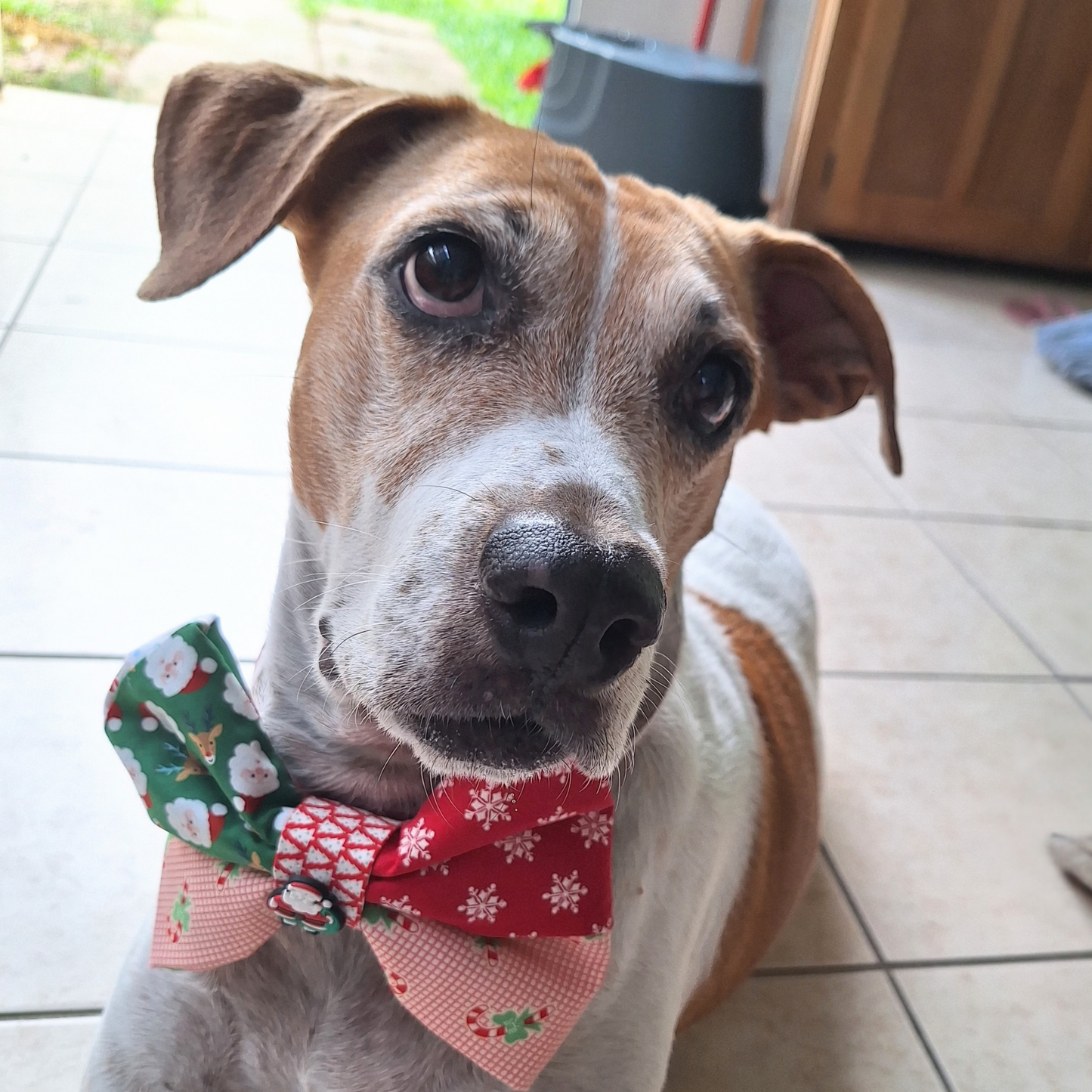 Santas Little Helper Bow