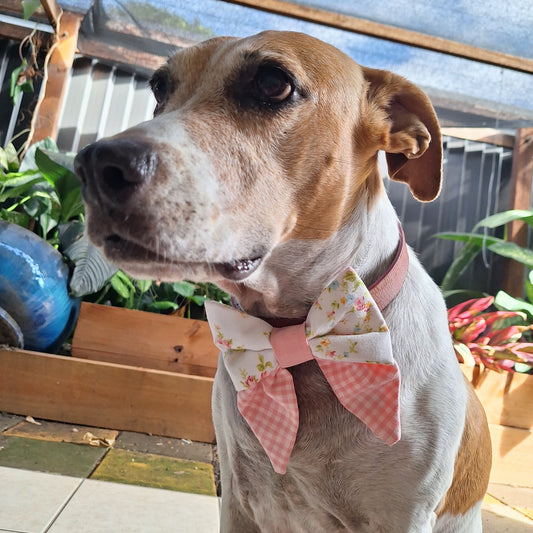 Spring Bow