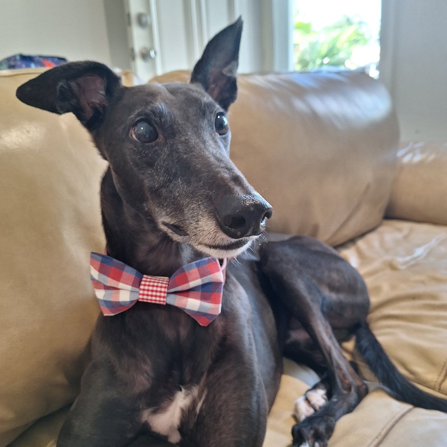 Business Hours Bow