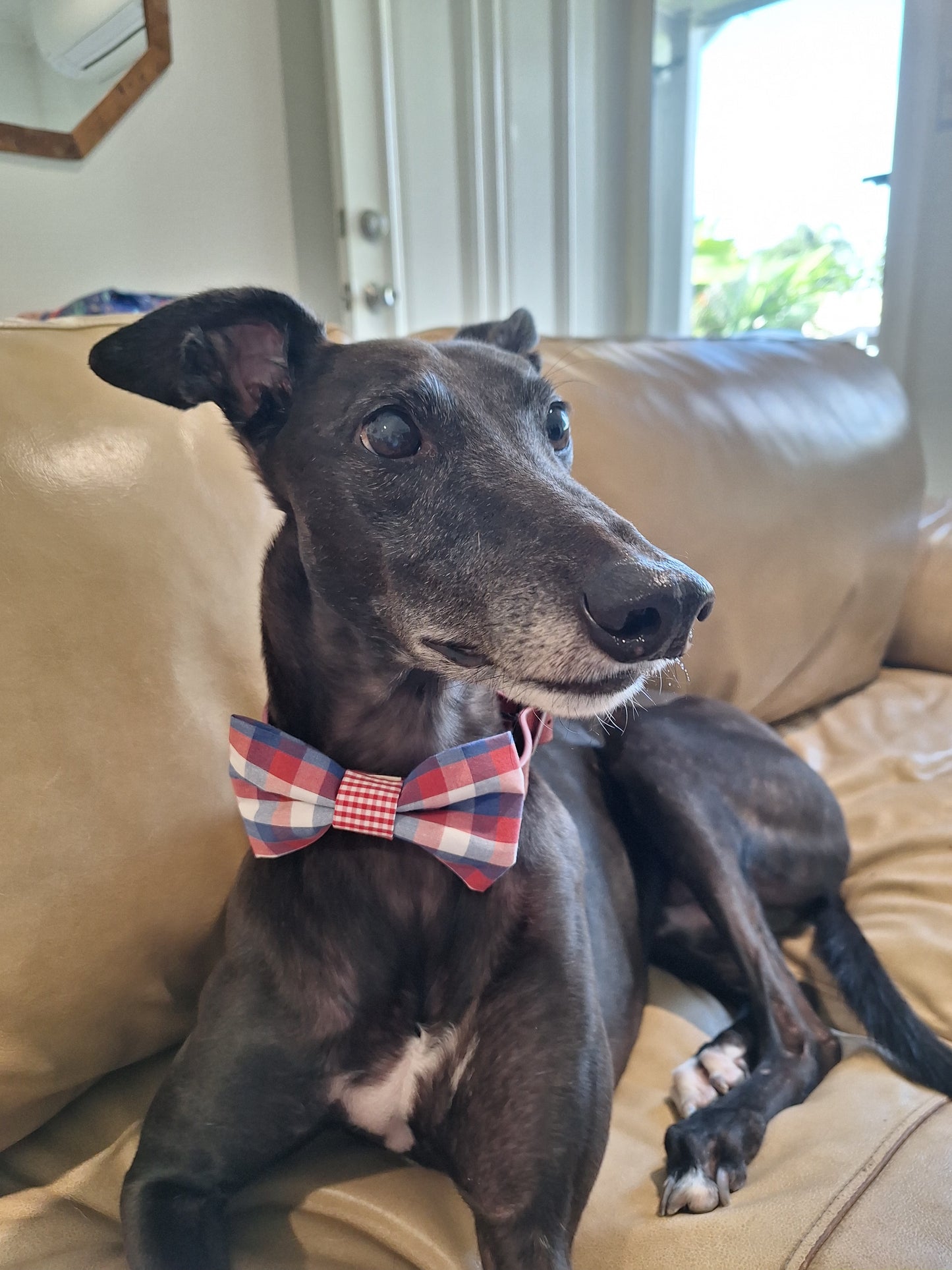 Business Hours Bow