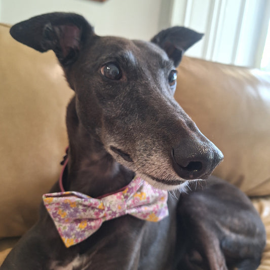 Blooming Lovely Bow