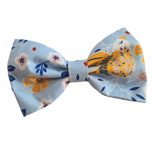 Bluebird Bow