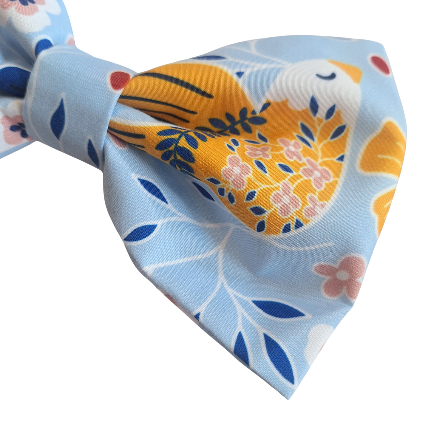 Bluebird Bow