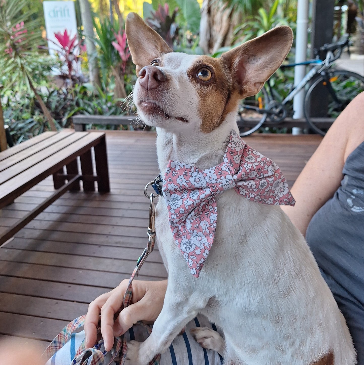 Puppuccino Floral Bow