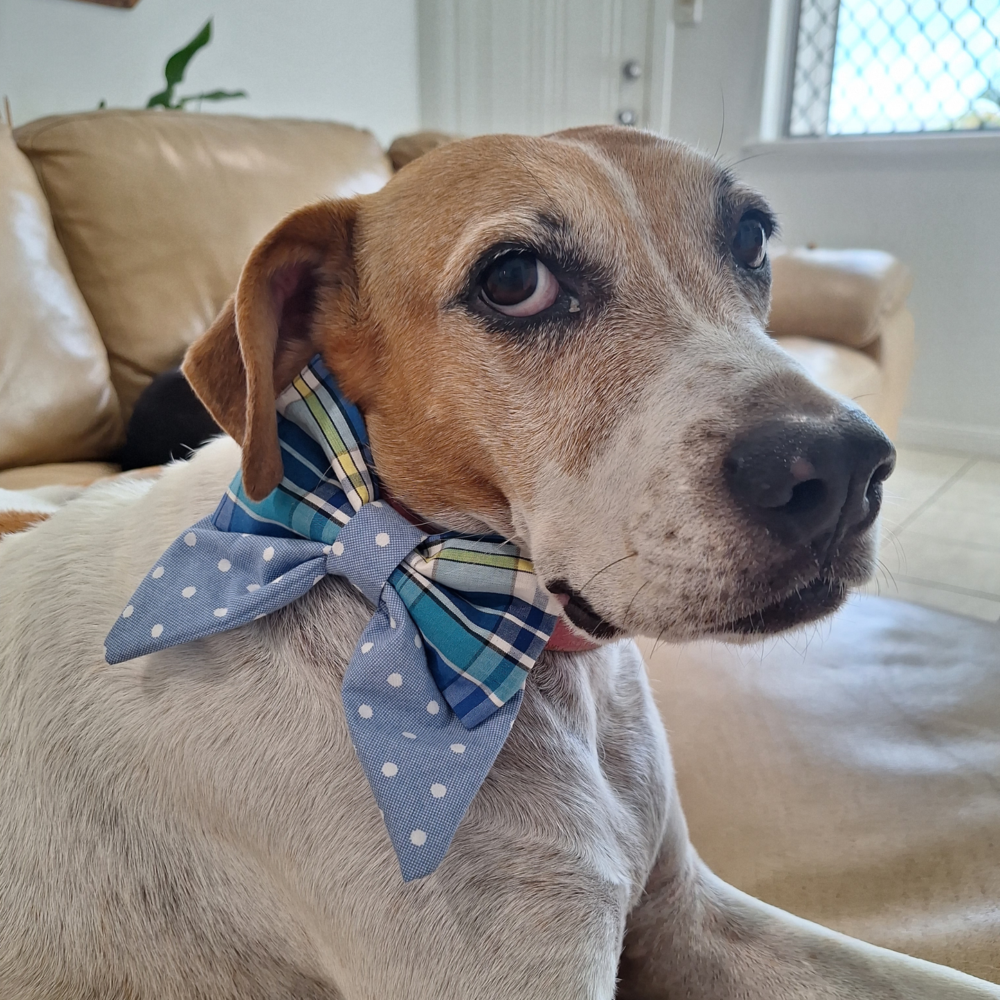 Blue Picnic Sailor Bow