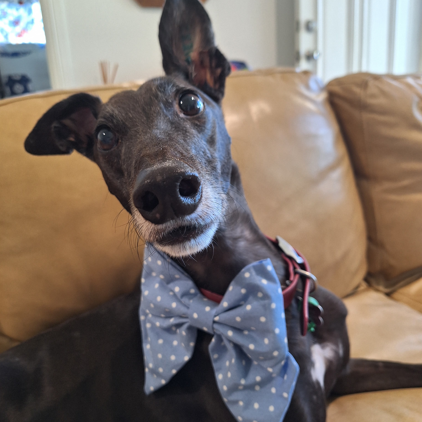 Sky Blue Polka Dots Sailor Bow