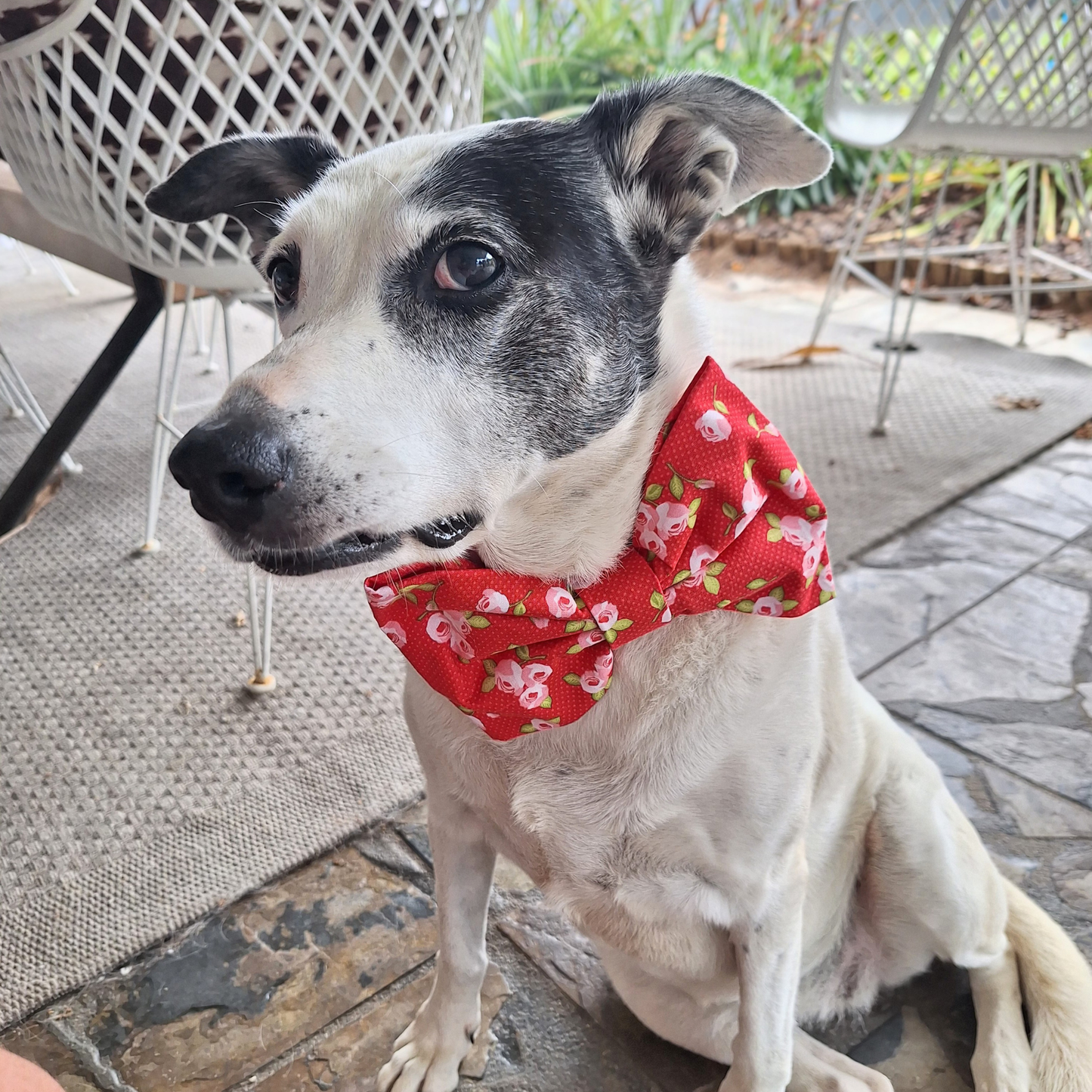 Ditsy Roses Bow