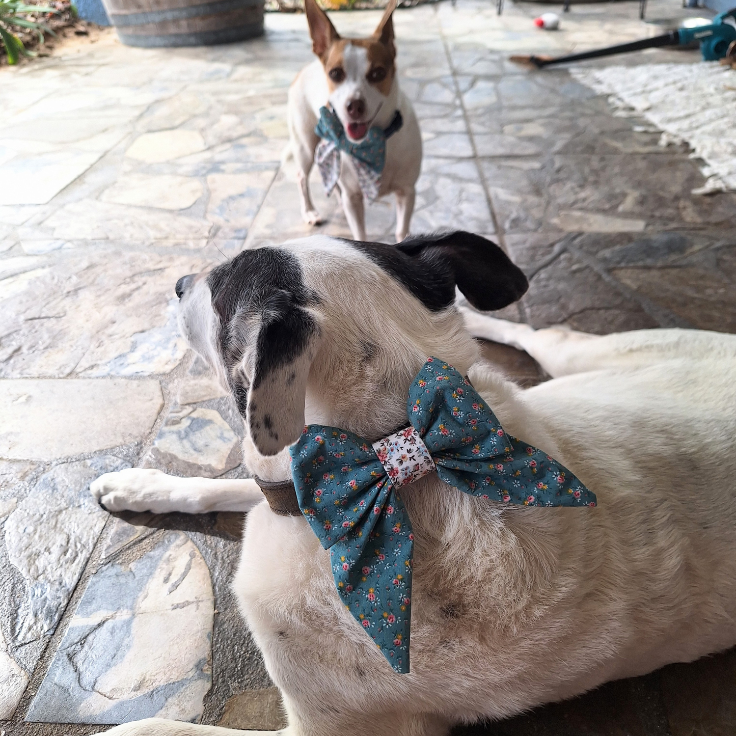 Sage Chintz Sailor Bow