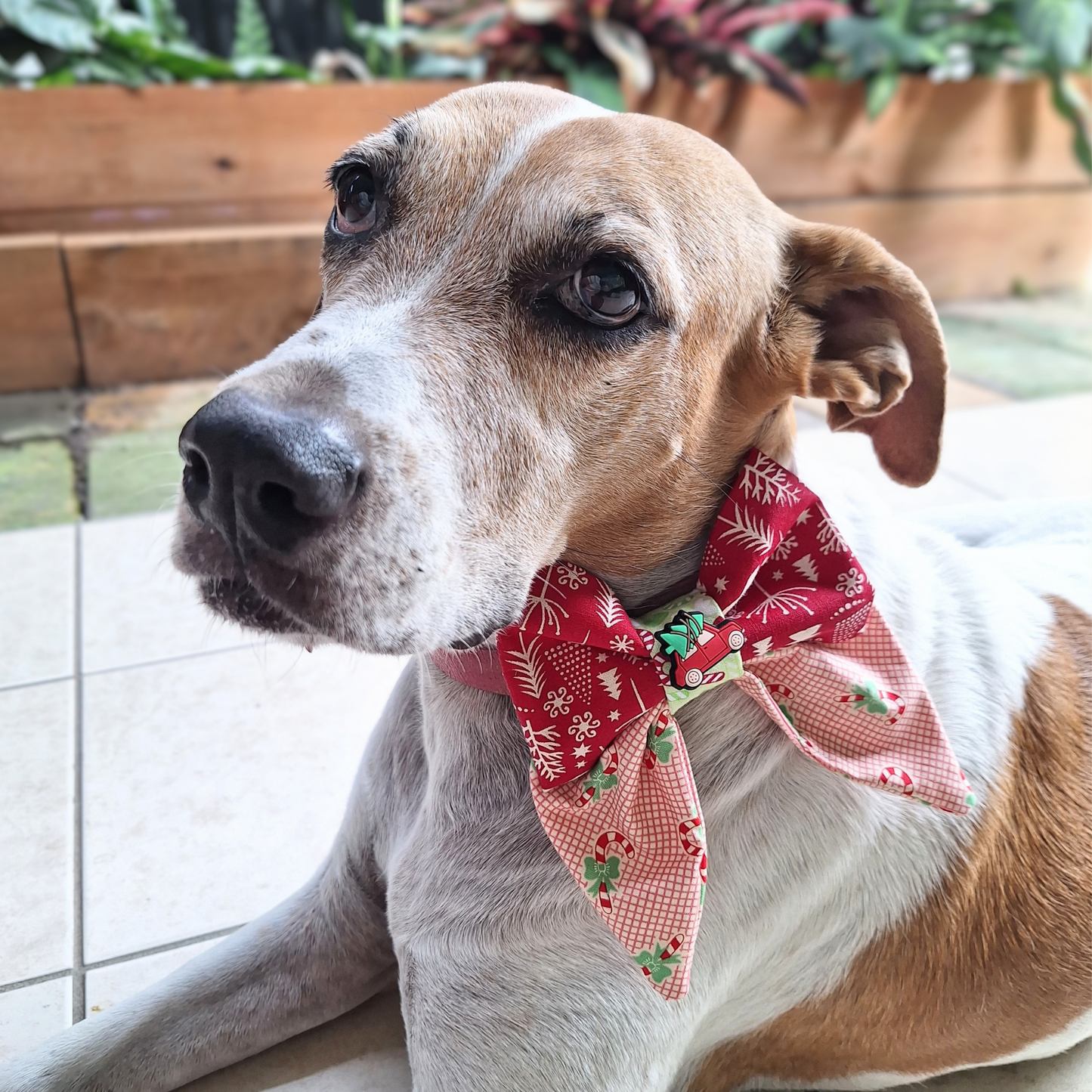 Home for Christmas Bow