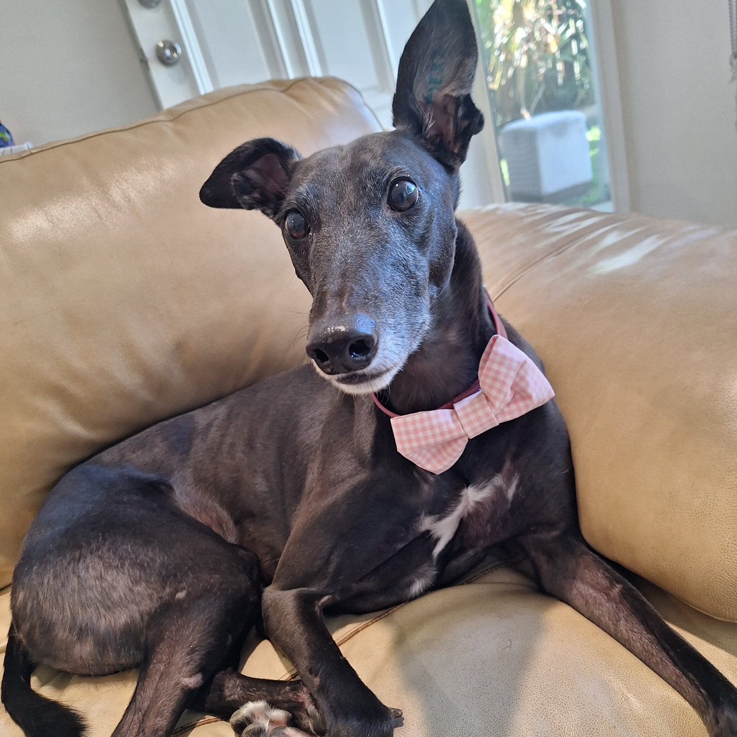 Pretty in Pink Gingham Bow