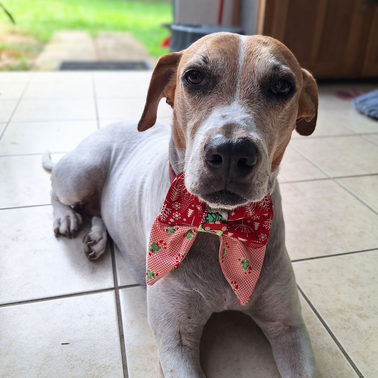 Home for Christmas Bow