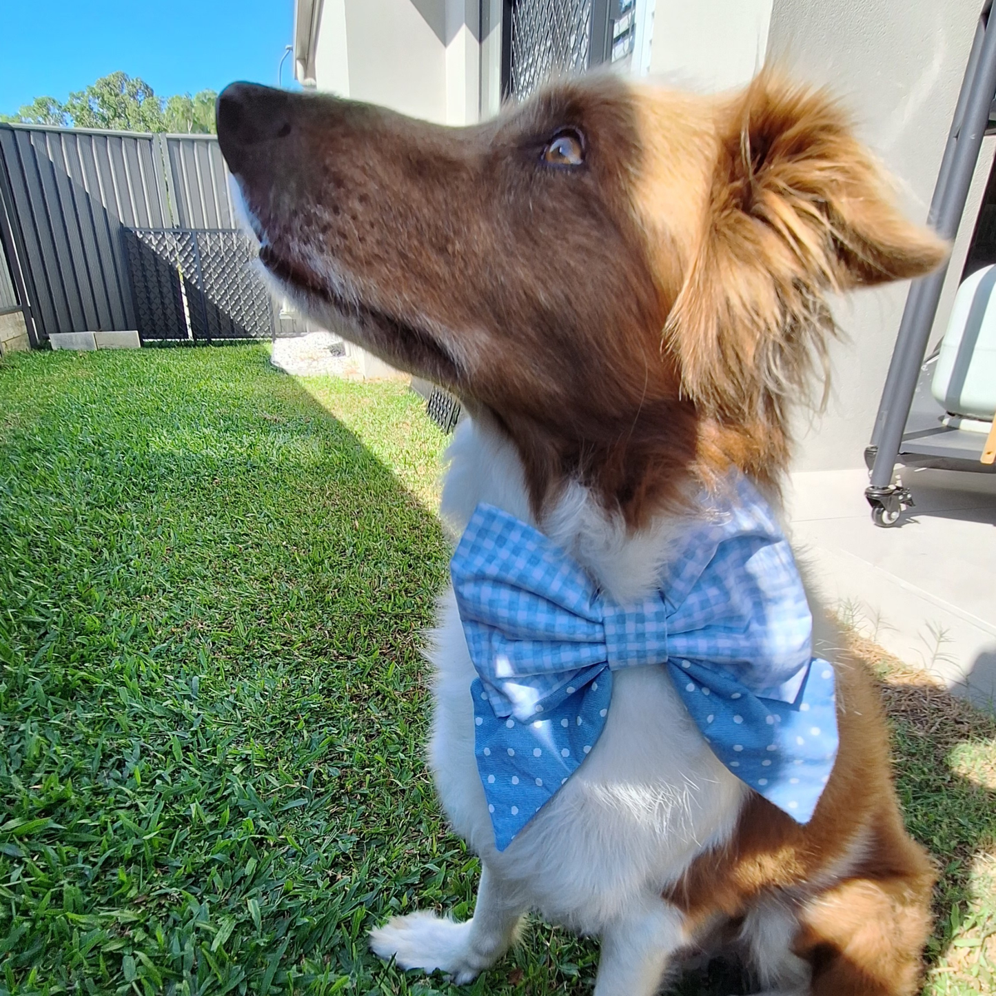 Sky Blue Plaid and Spots Sailor Bow