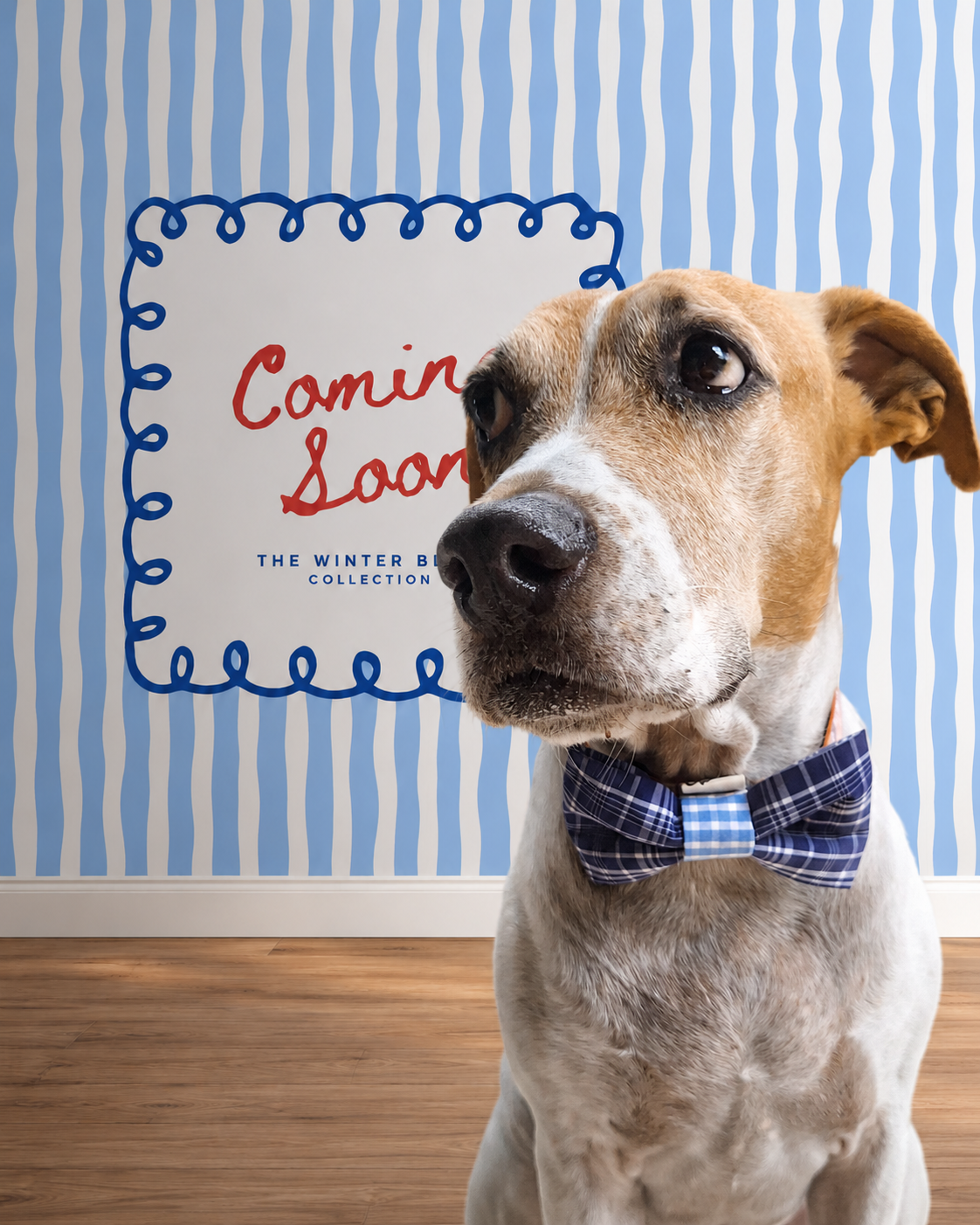 Dog wearing a plaid bow tie in front of a 'Coming Soon' sign with blue and white striped background
