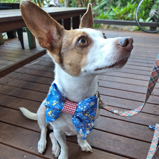 Bumbling Sailor Bow