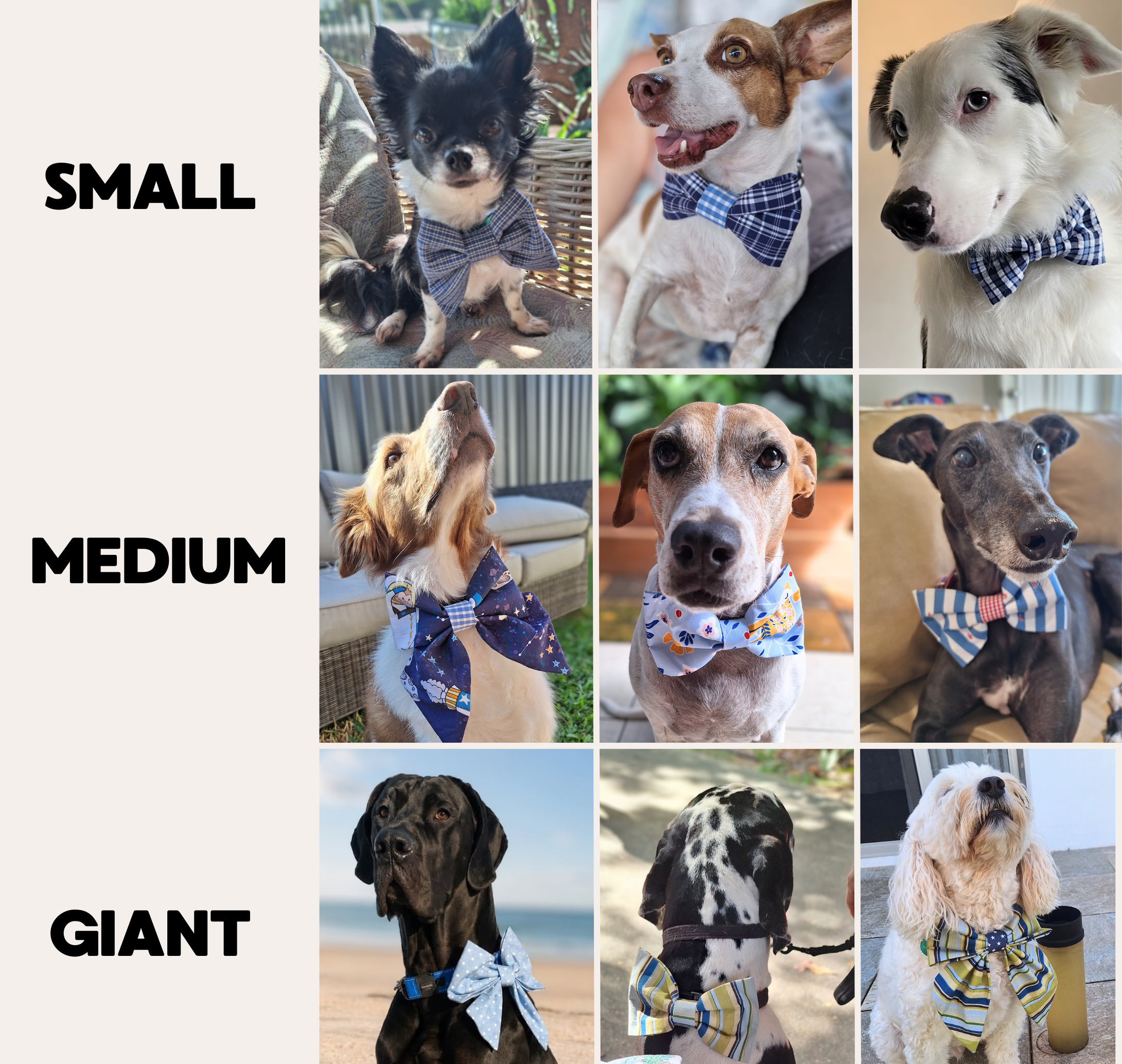 Collage of dogs wearing bow ties labeled 'Small', 'Medium', and 'Giant' with text on a white background.