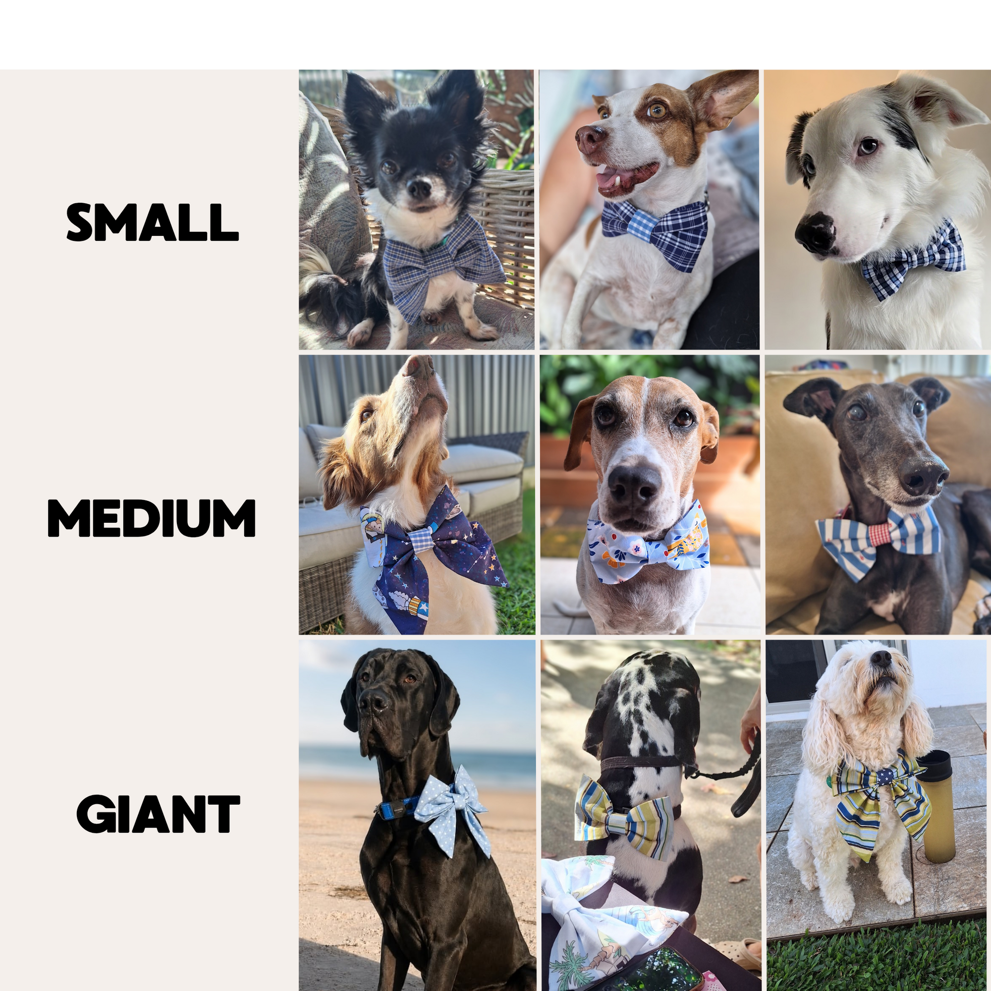 Clickable image
