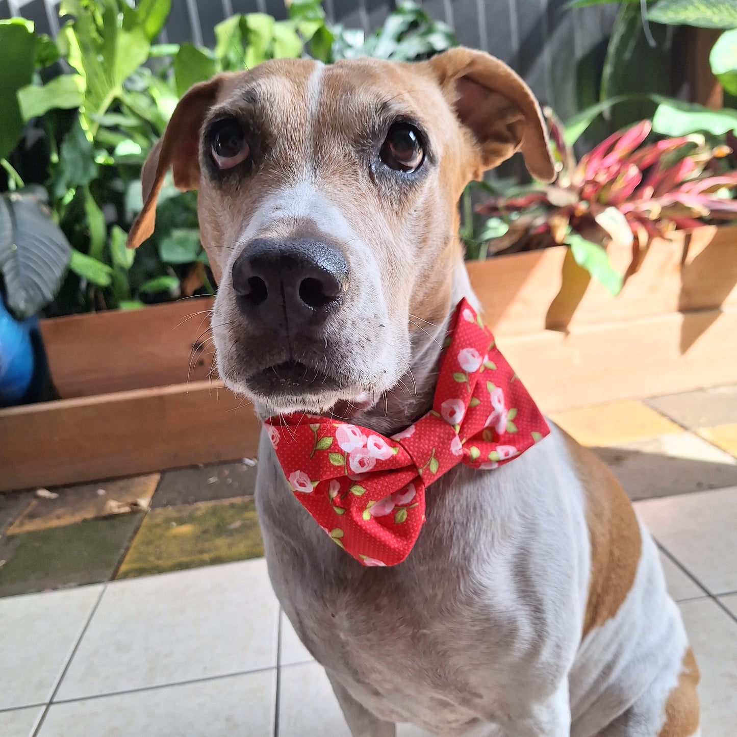 Ditsy Roses Bow