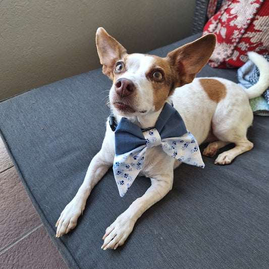 Paw Print Sailor Bow