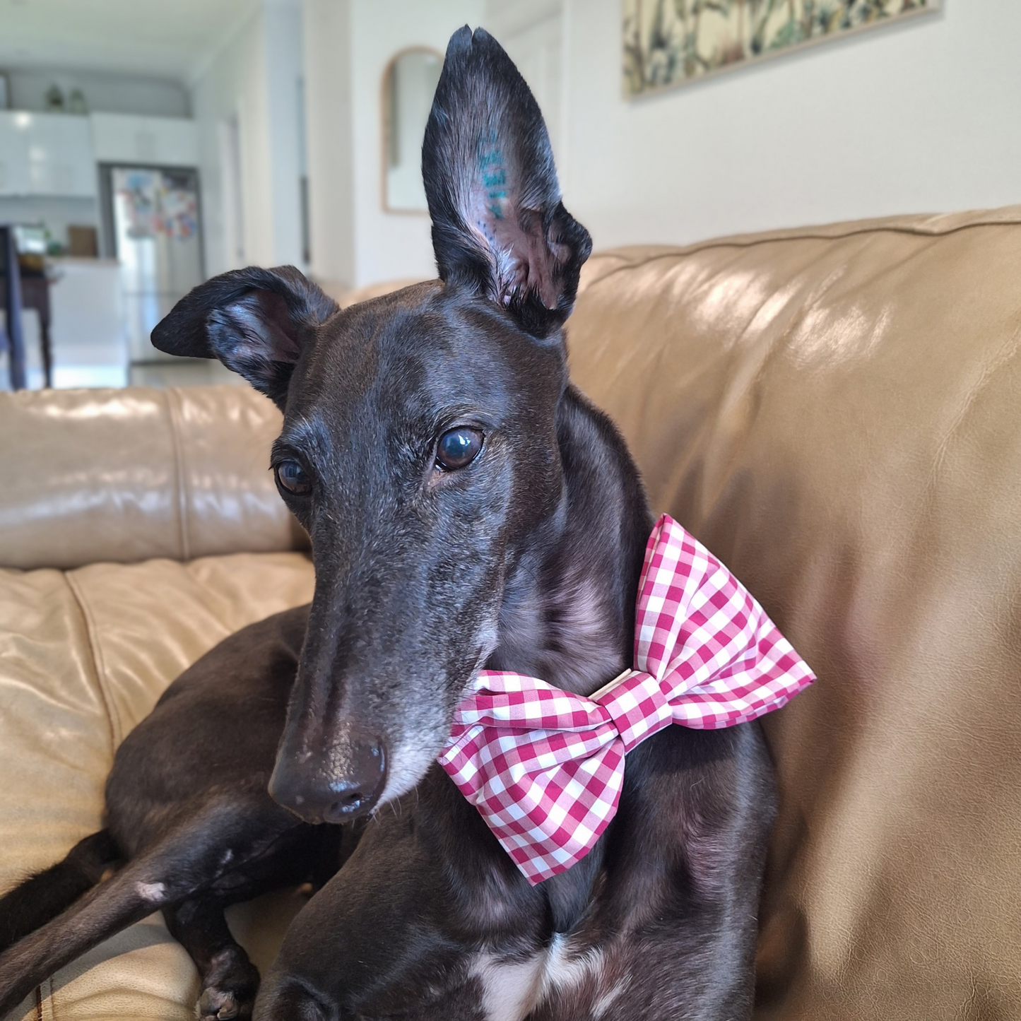 Plum Gingham Bowtie