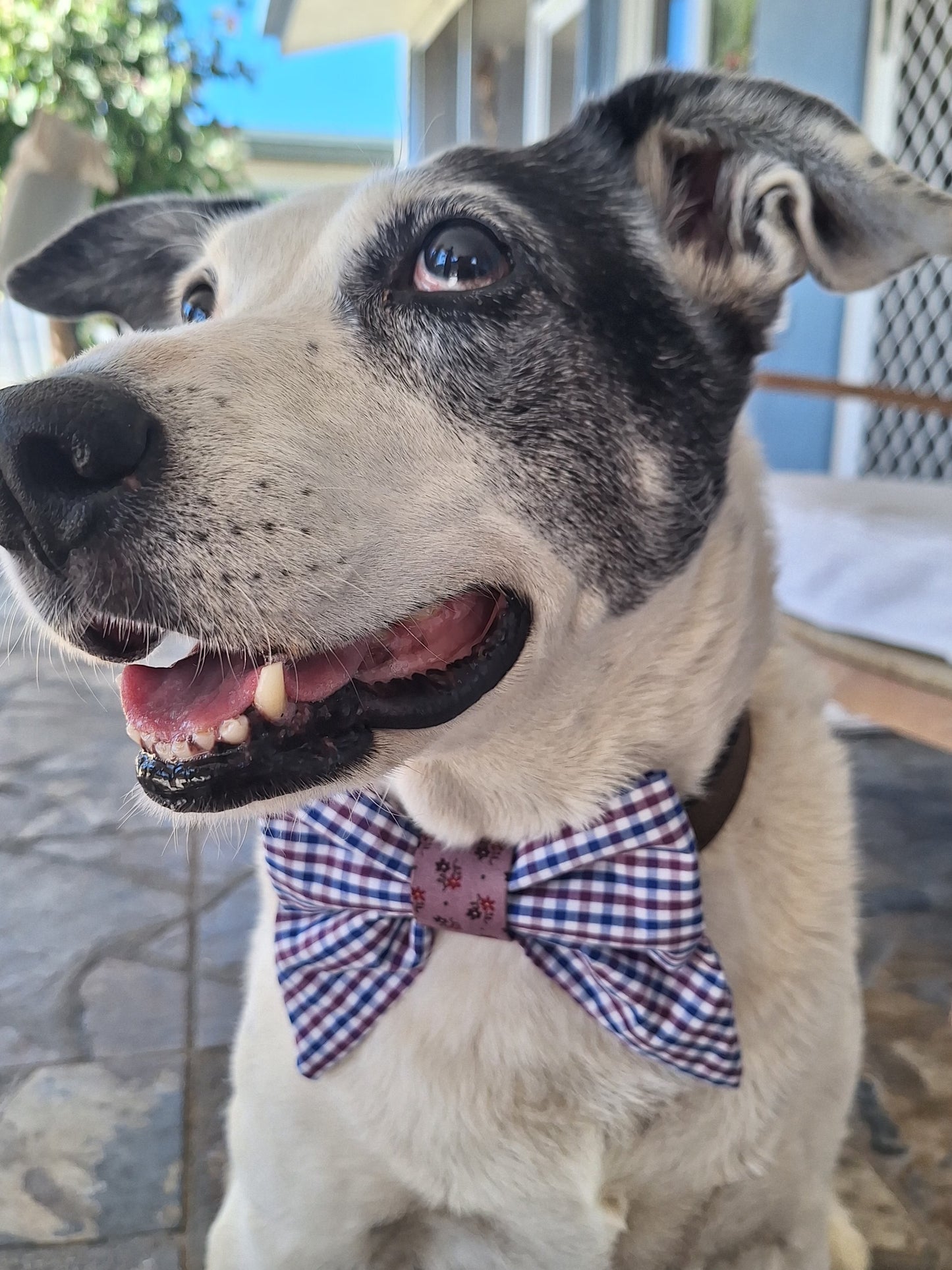 Blackberry Gingham Sailor Bow