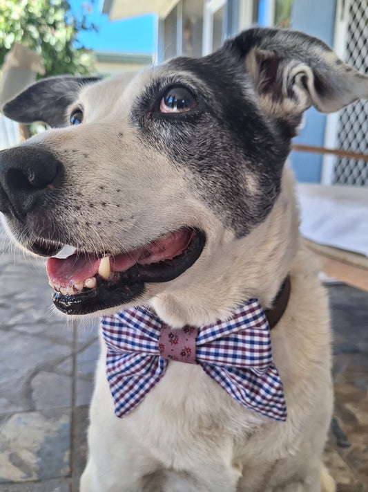 Blackberry Gingham Sailor Bow
