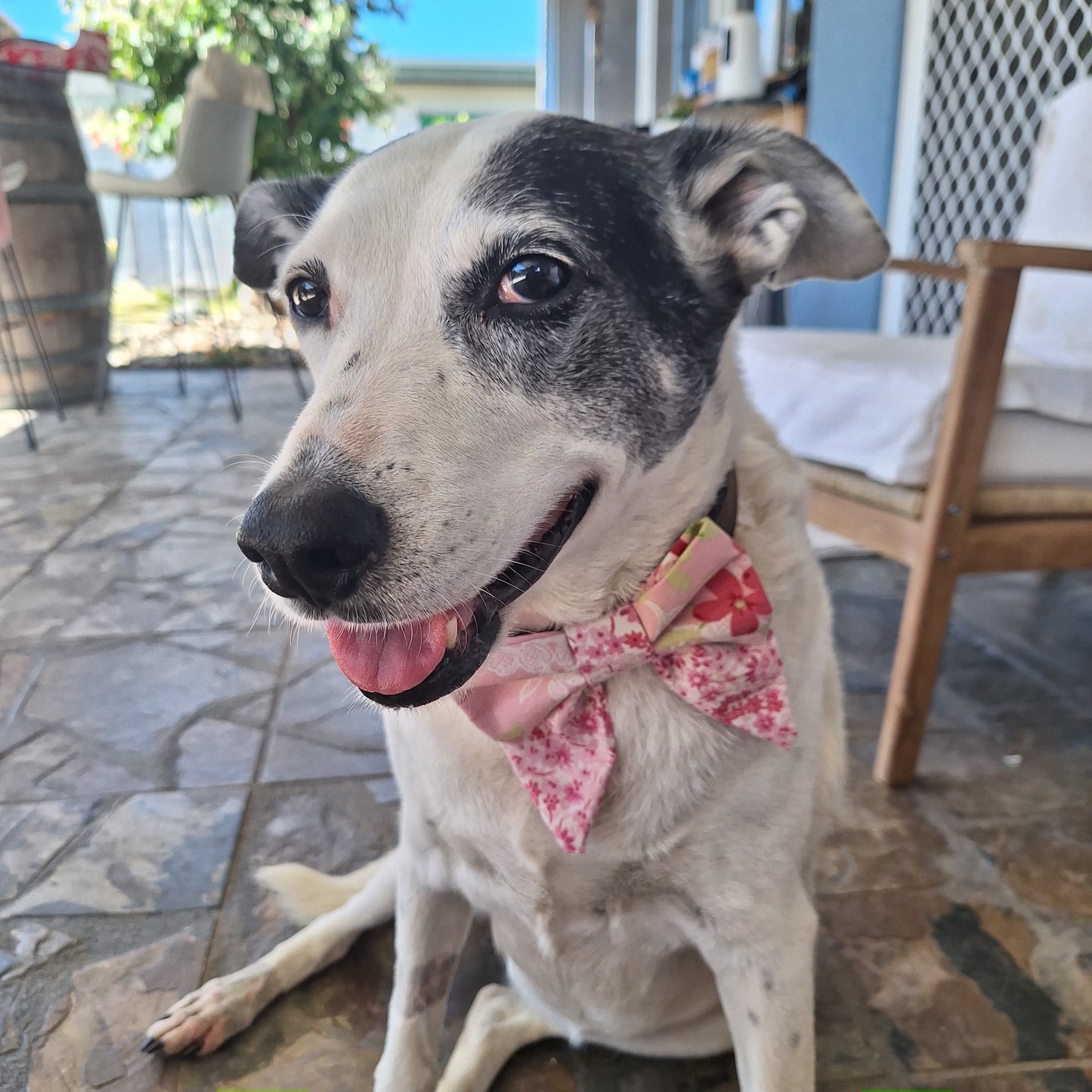 Blossom Promise Sailor Bow