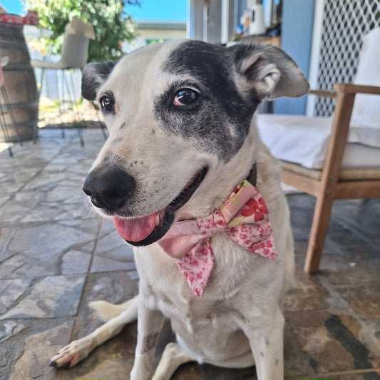 Blossom Promise Sailor Bow