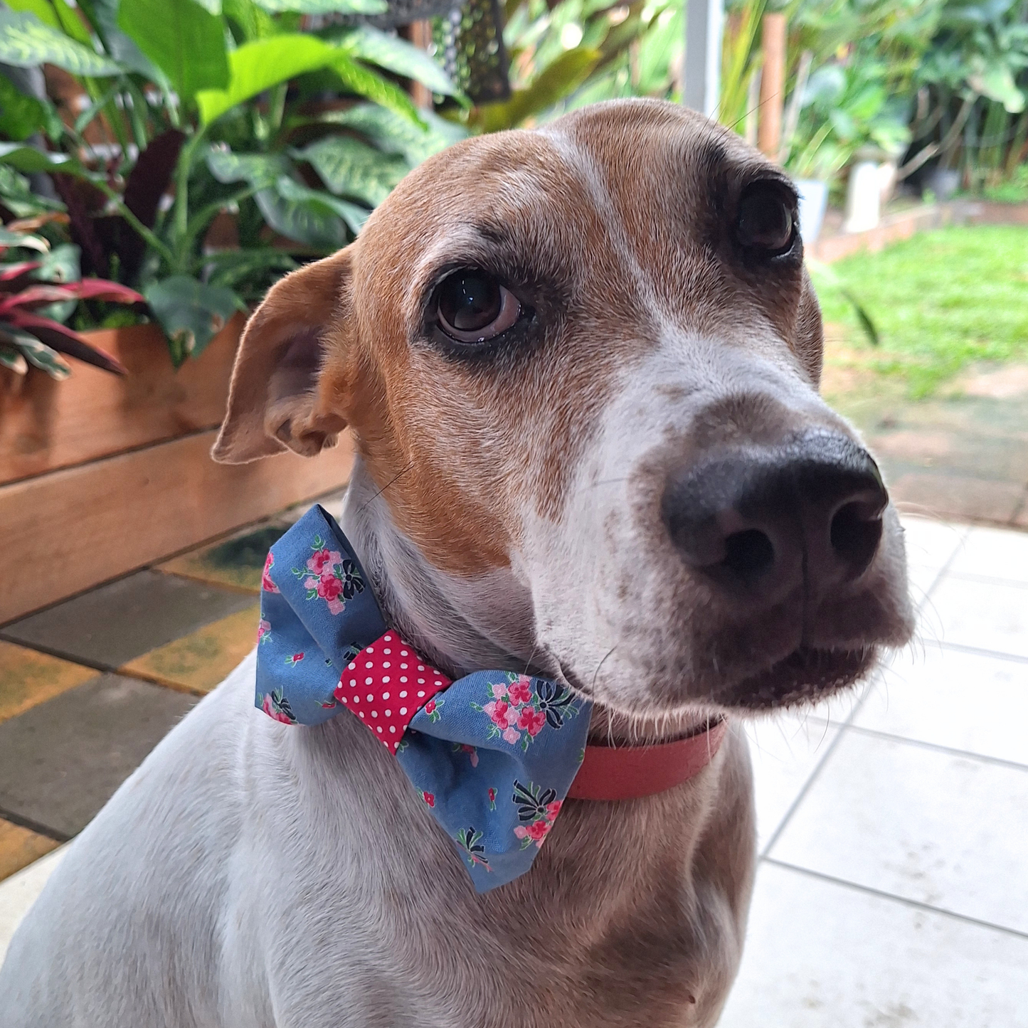 Blue floral with spot