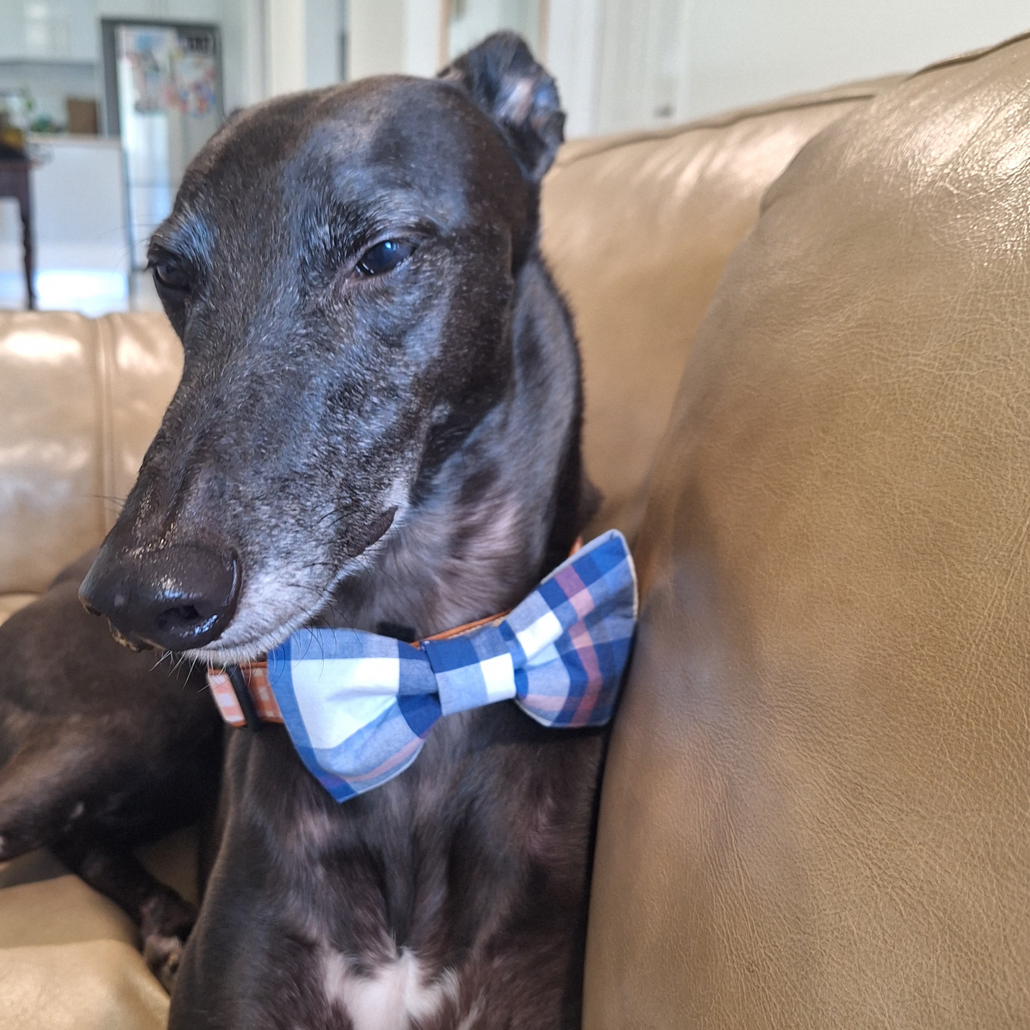 Harrods plaid bow