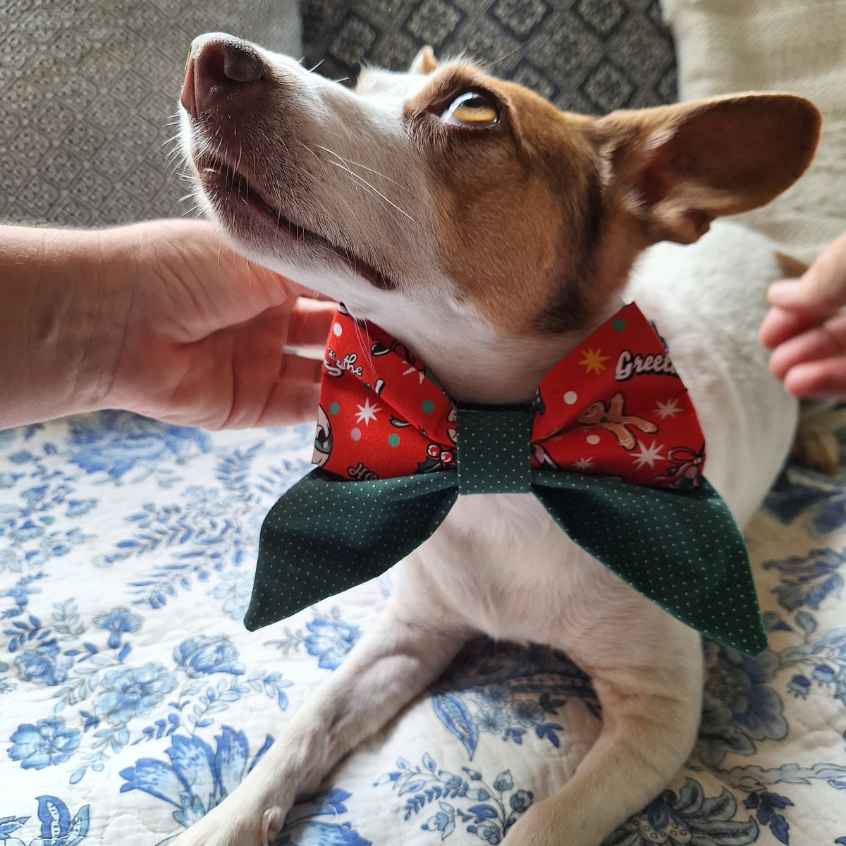 Seasons Greetings Bow