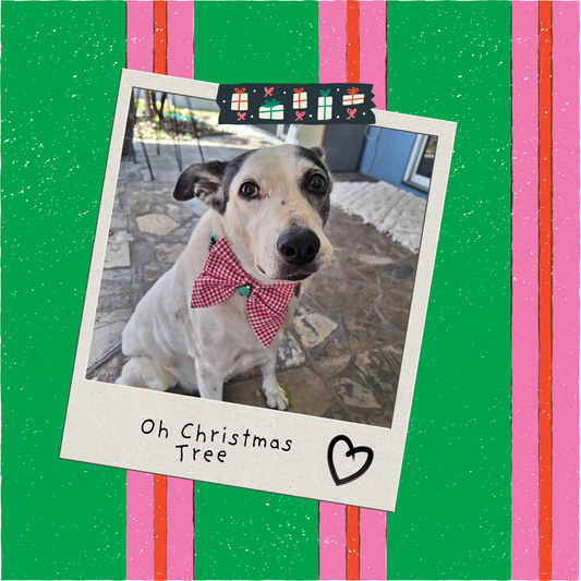 Christmas Tree Gingham Bow