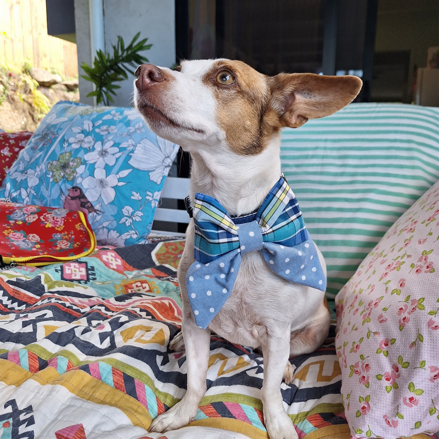 Blue Day Sailor Bow