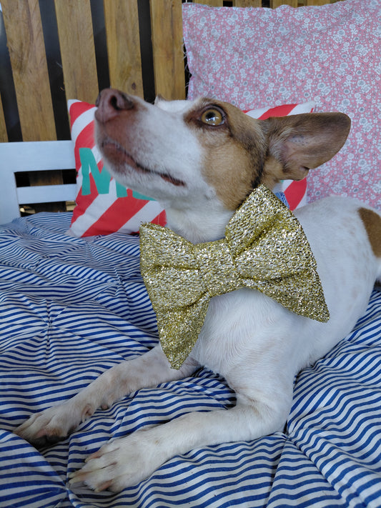 The Holiday Glow Bow
