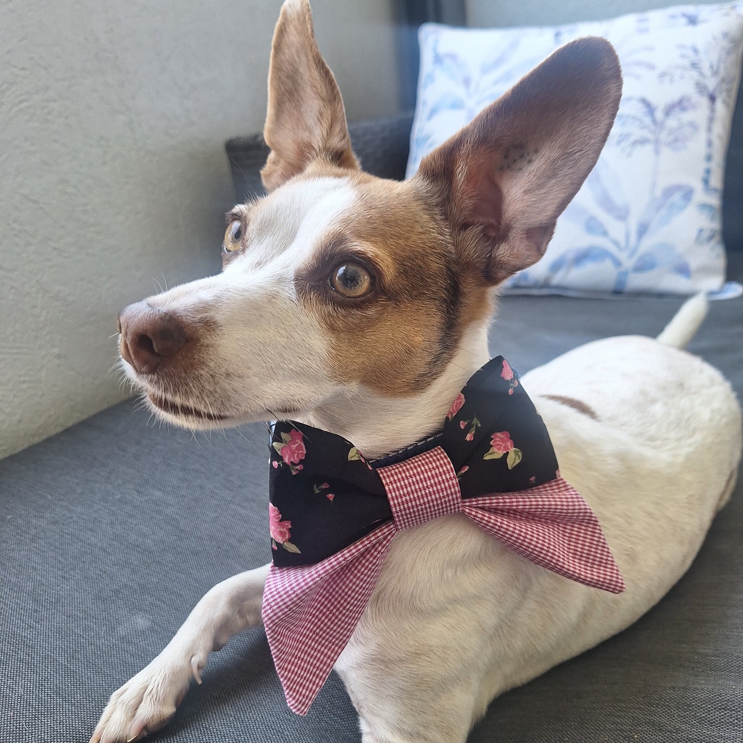 Midnight Rose and Gingham Bow