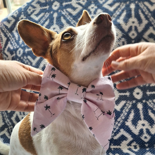 The Club Tropidog-ana Bowtie