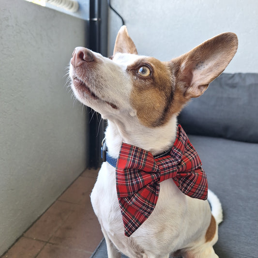 Picnic Plaid Sailor Bow