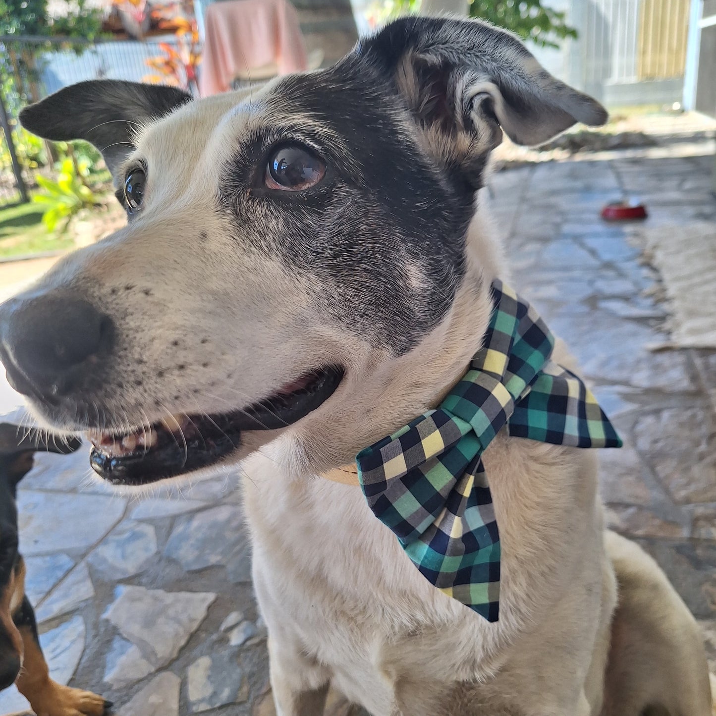 Winters Day Plaid Sailor Bow