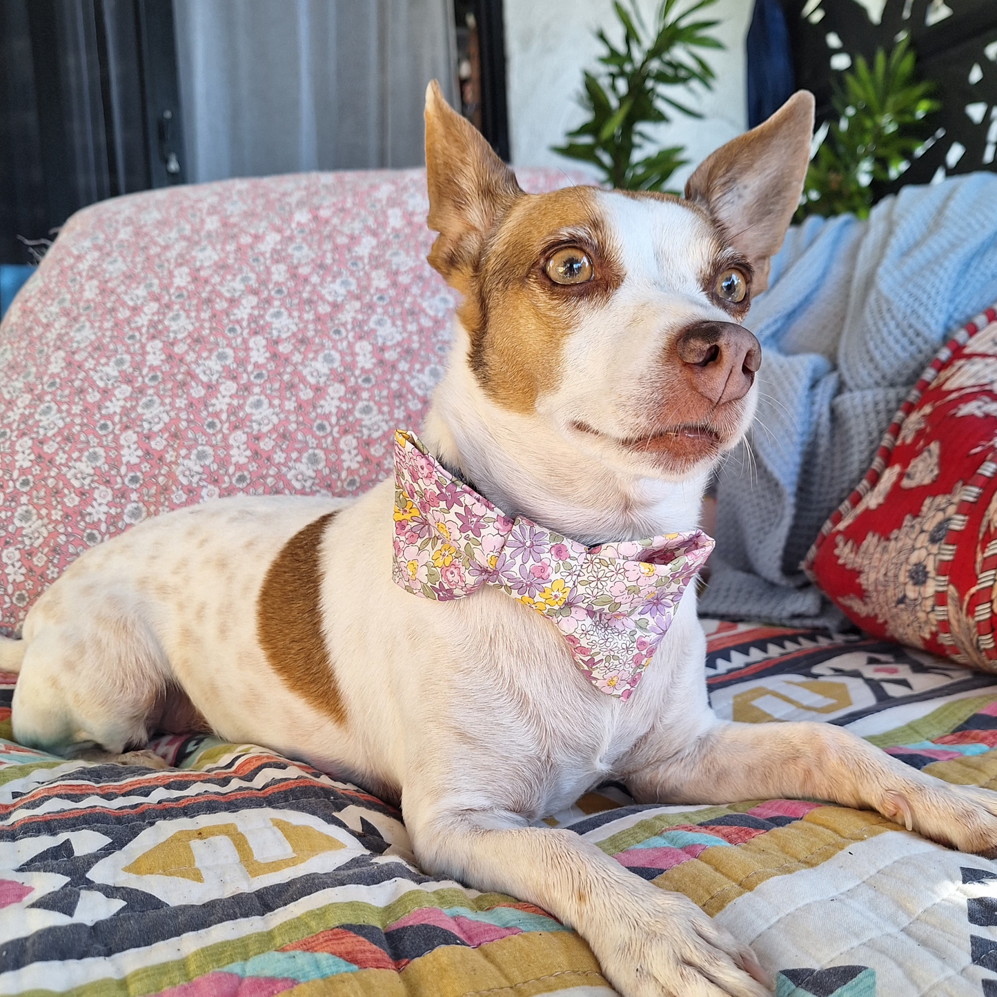 Blooming Lovely Bow