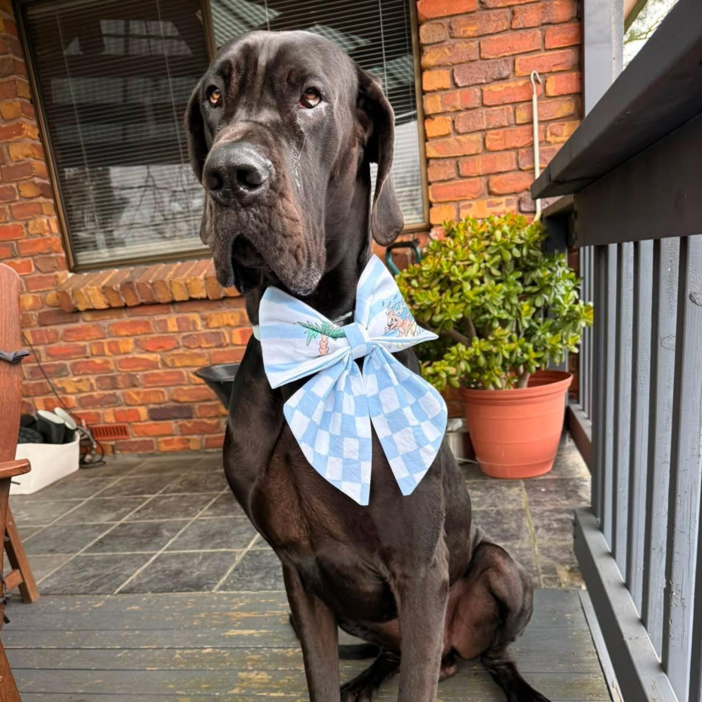 Surfer Dog Sailor Bow
