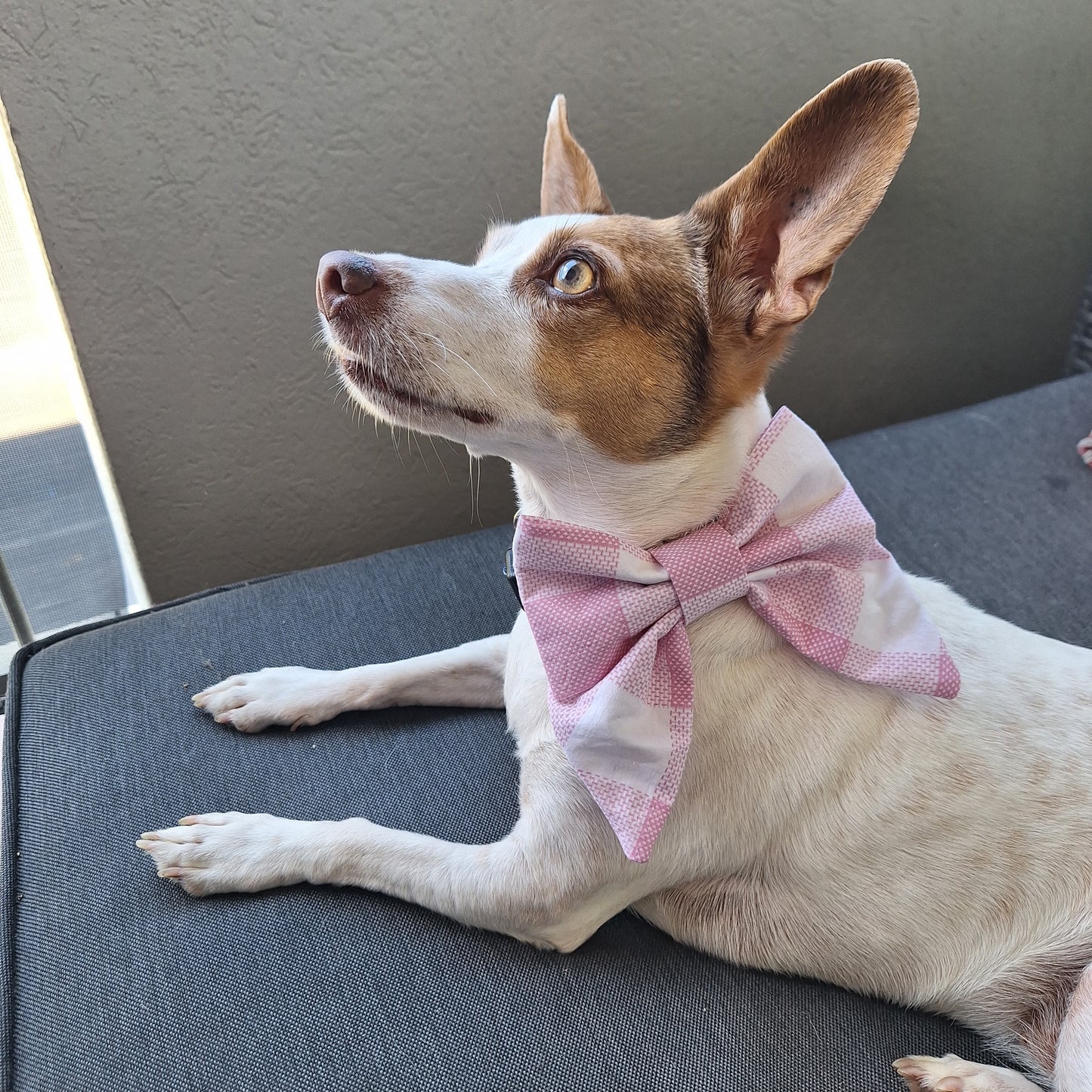 Sassy Checks Sailor Bow