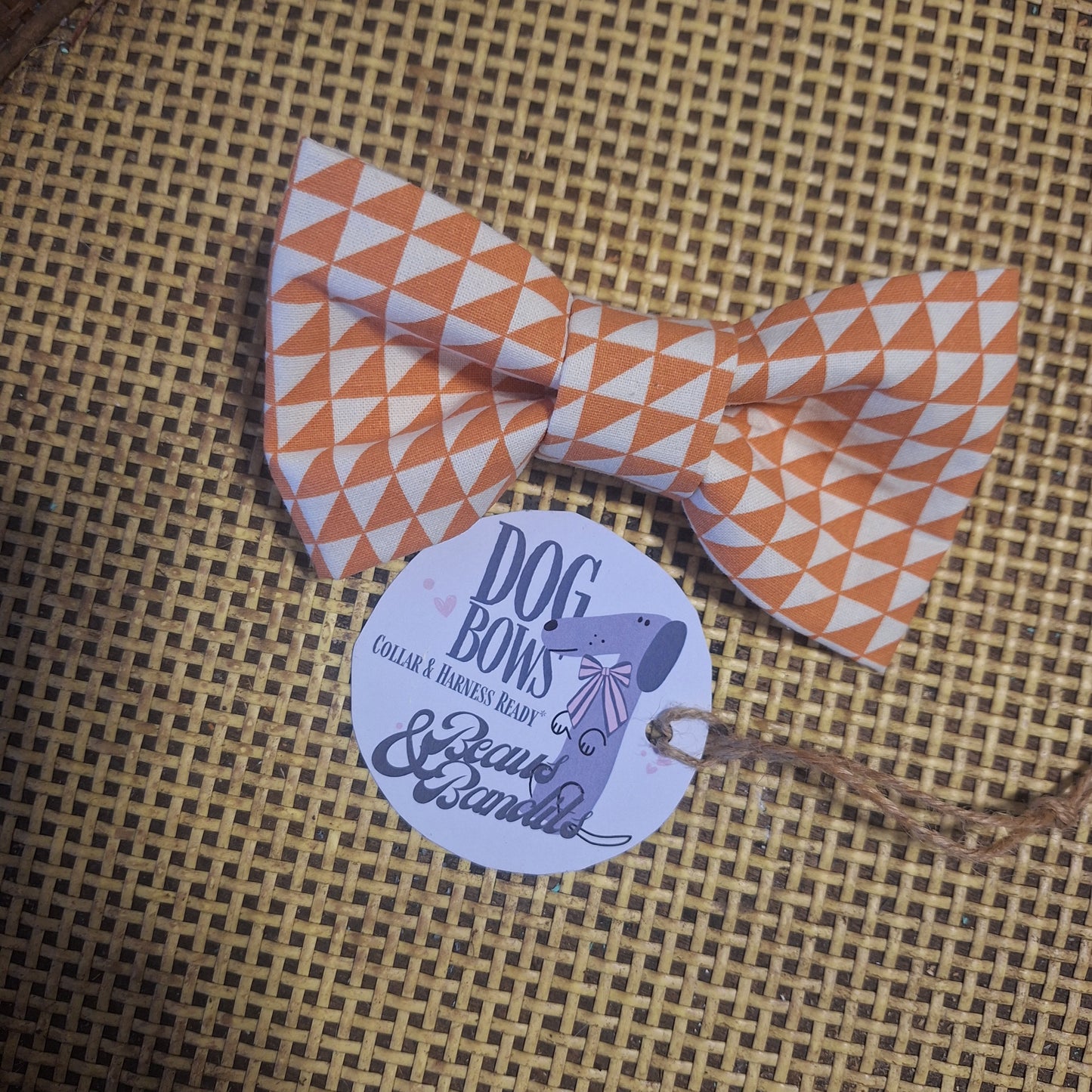 Terracotta Dreams Bowtie