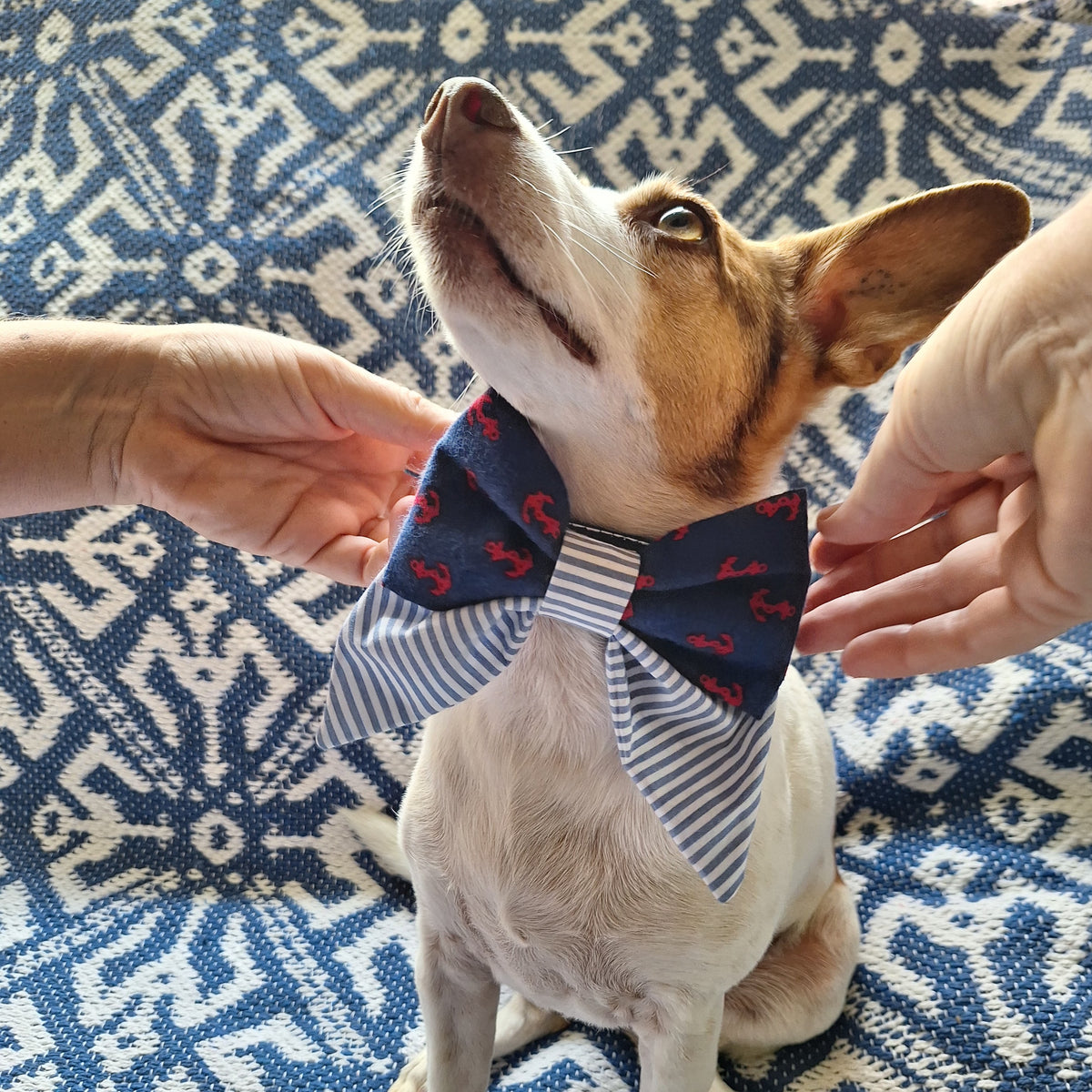 The Ahoy Matey Nautical Bow